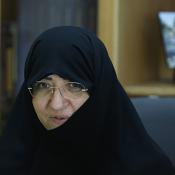 عضو هیات علمی دانشگاه امام صادق علیه السلام